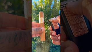 🔥💨 Tranquility with a delicious Drew Estate Undercrown Shade cigar cigar asmr shorts luxury [upl. by Eseyt]