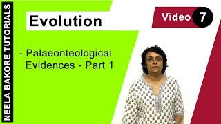 Evolution  NEET  Palaeonteological Evidences  Part 1  Neela Bakore Tutorials [upl. by Nnaul]