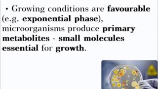 Biotechnology  ALevel A2 Biology Revision [upl. by Zora704]