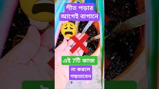 শীতে গাছ তরতাজা রাখতে এখনি করুন এই 7টি কাজ wintergarden plantcare gardening nurserytricks hack [upl. by Driskill]