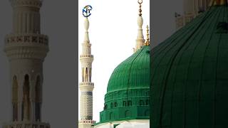 Madina Mohammad public yt ytshorts terdinge viralvideo [upl. by Lucretia411]