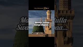 Muth nabiyude perandhaa song malayalam islamicstatus lovelyricsislamicsongislamicmotivation [upl. by Yentnuoc262]