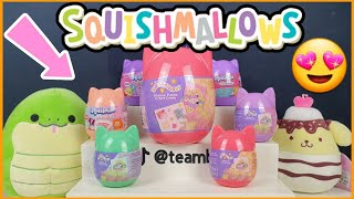 SQUISHMALLOWS SPECIAL 2024 New Easter Capsules and cute plushies Squishville unboxing [upl. by Tali]