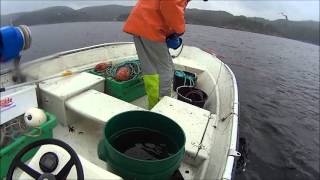 Linefiske i Kåfjorden Lindesnes [upl. by Einapets627]