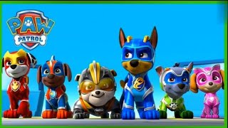 PAW PATROL Full Episode 2020 🐶Paw Patrol Full Episodes In Hindi 04 [upl. by Ellinej]