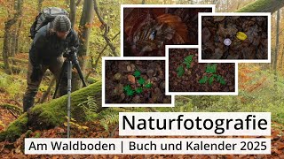 Naturfotografie Was sich so am BODEN im HERBSTWALD findet  Kalender 2025 und Buch [upl. by Analah]