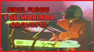 Fidel Funes y su Marimba Orquesta  Concierto De Plata [upl. by Ramirolg]