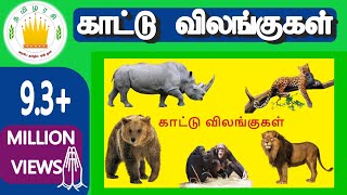 30 காட்டு விலங்குகள் Kattu vilangugal  30 Tamil Wild animals name video for Kids  Adipadai Tamil [upl. by Alaj]