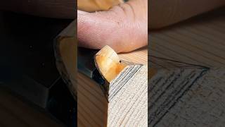 chisel woodworking stressrelief asmr oddlysatisfying satisfying woodworkingtools diy [upl. by Yaron23]