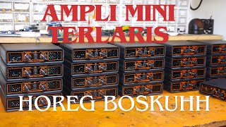 POWER AMPLIFIER CLASS D MINIMALIS VIRAL HOREG CLARITY DETAIL GLERR SANGATT [upl. by Normy]