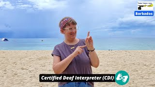 Christina explain about  Deaf Interpreter amp Certified Deaf Interpreter etc [upl. by Jacintha473]