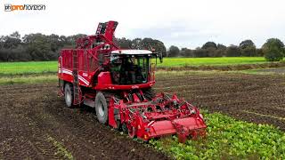 GRIMME Rexor Harvesting Sugar Beet  Harvest 2020 with Huddlesstone Farming [upl. by Lauretta248]