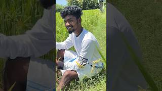 Kalathur Suriya tamil song lovesong tamilsong love dance kaala kalaa lovelysong kaalaavaa [upl. by Ateekan]