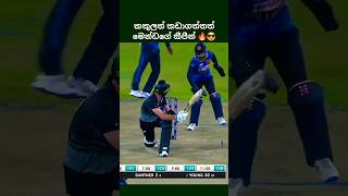 කකුල කඩාගෙනත් මෙන්ඩගේ කීපින්🔥😎shorts shortsfeed youtubeshorts cricket srilanka trending [upl. by Pravit883]