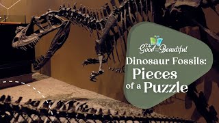 Dinosaur Fossils Pieces of a Puzzle  Paleontology  The Good and the Beautiful [upl. by Drucill]