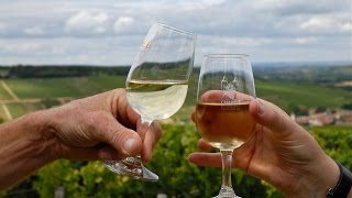 Chablis fête ses vignerons [upl. by Eddi]