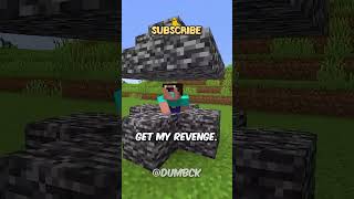 TODAY I FINALLY GET REVENGE ON THE NOOB IN MINECRAFT 🛍️ shorts [upl. by Enineg538]