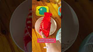 🦐🦐🦐Cubpi mistook his pair of slippers for a lobster Hilarious video toysdiy funny trending [upl. by Chavey]