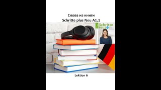 Слова из книги Schritte plus Neu A11 Lektion 6  словарный запас немецкого по лекциям [upl. by Alleyn432]