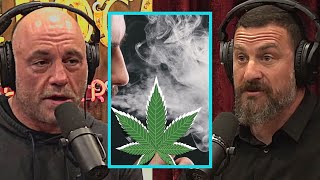 Joe Rogan and Neuroscientist Dr Huberman blow your mind about Weed and How it affects Brain and Body [upl. by Nilyram307]