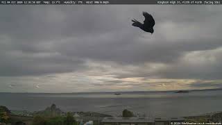 4 October 2024  Kinghorn WeatherCam Timelapse [upl. by Ylecara]