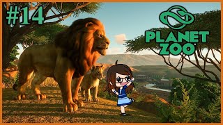 Planet Zoo 14  Beaucoup TROP de bébés xD [upl. by Ahsekin255]