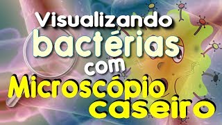 Bactérias vistas em microscópio caseiro [upl. by Gatian]