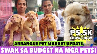 UPDATE SA ARRANQUE PET MARKET  MARCH 07 2024 [upl. by Janos273]