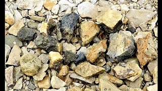 Dark amp heavy Barite amp Metallic Septarian Nodule Fossil Rocks in the shore at Lake Pueblo [upl. by Secrest]