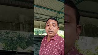 পাগল মনমনরে মন কেন এত কথা বলেshortvideofunnyvideo bengalisongbaulgan [upl. by Ahseiat]