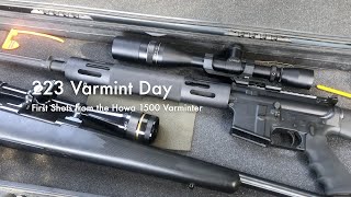 223 Varmint Day  First Shots from the Howa 1500 Varminter [upl. by Booth]