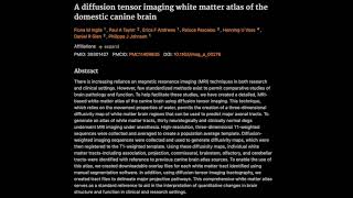 A diffusion tensor imaging white matter atlas of the domestic canine brain [upl. by Matilda]