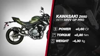 KAWASAKI Z650 2017  MIVV GP PRO EXHAUST [upl. by Gelasius]