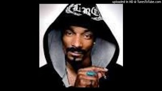 Snoop Dogg Theme Song [upl. by Dublin]