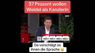 37 Prozent wollen Weidel als Kanzlerin Da verschlägt es ihnen die Sprache [upl. by Zennas]