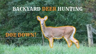 INDIANA BACKYARD HUNTING [upl. by Ondrej]