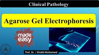 Agarose Gel Electrophoresis [upl. by Nizam]