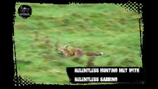 Relentless hunting met with relentless sabbing [upl. by Llertnad]