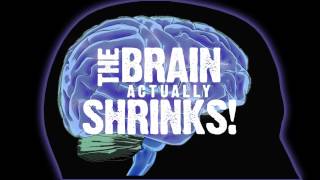 How Drug and Alcohol Abuse Affect the Brain [upl. by Arratahs]