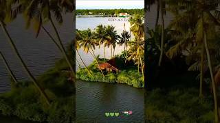 💯city india place world bollywoodsongs [upl. by Amleht262]