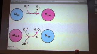 32 Kevin Aherns Biochemistry  ETS and Oxidative Phosphorylation [upl. by Misty663]