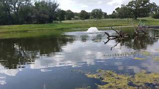 Emergency Pond Aeration [upl. by Dambro]