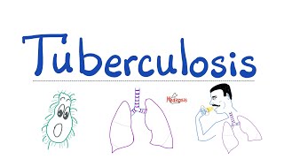 Tuberculosis TB  The Most Comprehensive Explanation  Respiratory Pathology  Pulmonology Series [upl. by Attenra]