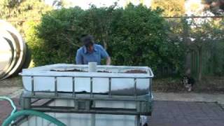 Building an ibc aquaponic system [upl. by Walcott]