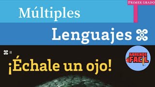 quotÉchale un ojoquot Múltiples lenguajes 1er grado Audiolibro Nuevos libros 2023 [upl. by Ainosal]