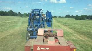 Square Baling Coastal Bermuda with 4590 Heston and Model 100 Bale Bandit [upl. by Stafani]