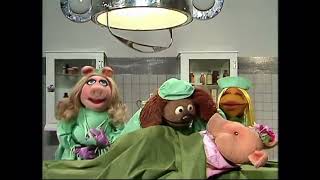 The Muppet Show  320 Sylvester Stallone  Veterinarian’s Hospital Hawaiian Pig 1979 [upl. by Poland]