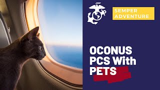 Military OCONUS PCS with Pets [upl. by Cire]