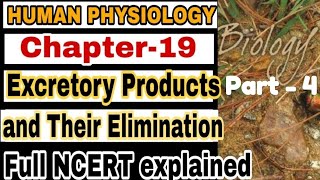 NCERT Ch19 Excretory Products and their elimination Class XI Human Physiology lecture 4 Boards [upl. by Augie54]