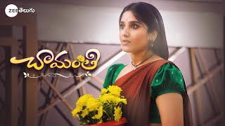 Chamanthi Launch Promo  Meghna Lokesh as Chamanthi  Brand New Serial  Coming Soon  Zee Telugu [upl. by Maighdiln423]